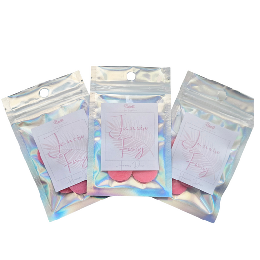 Janeiro Fairy Hoover Discs